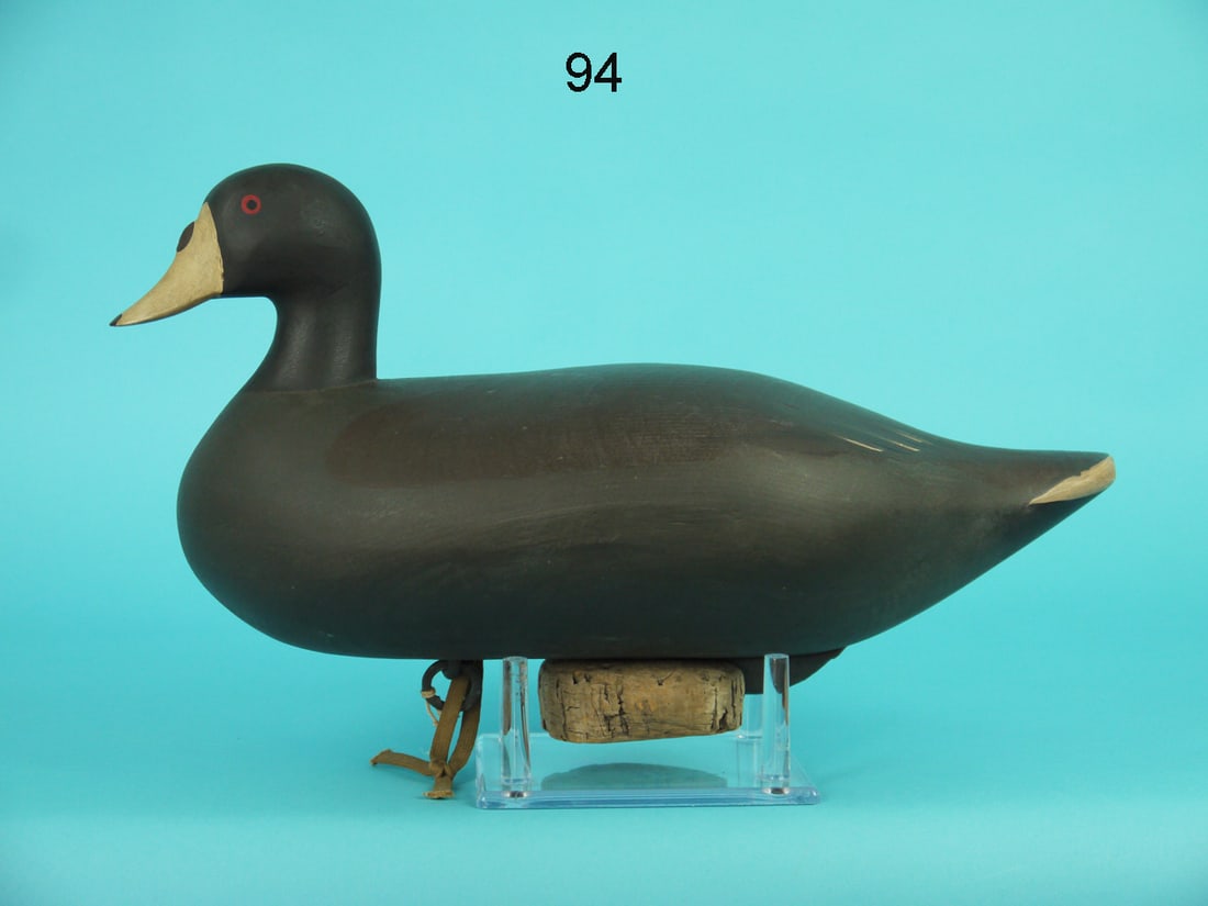 COOT, R.M. MITCHELL (1 of 4)