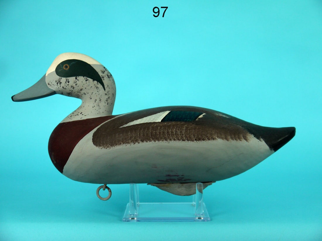 WIGEON DRAKE, UPPER BAY, MD (1 of 4)