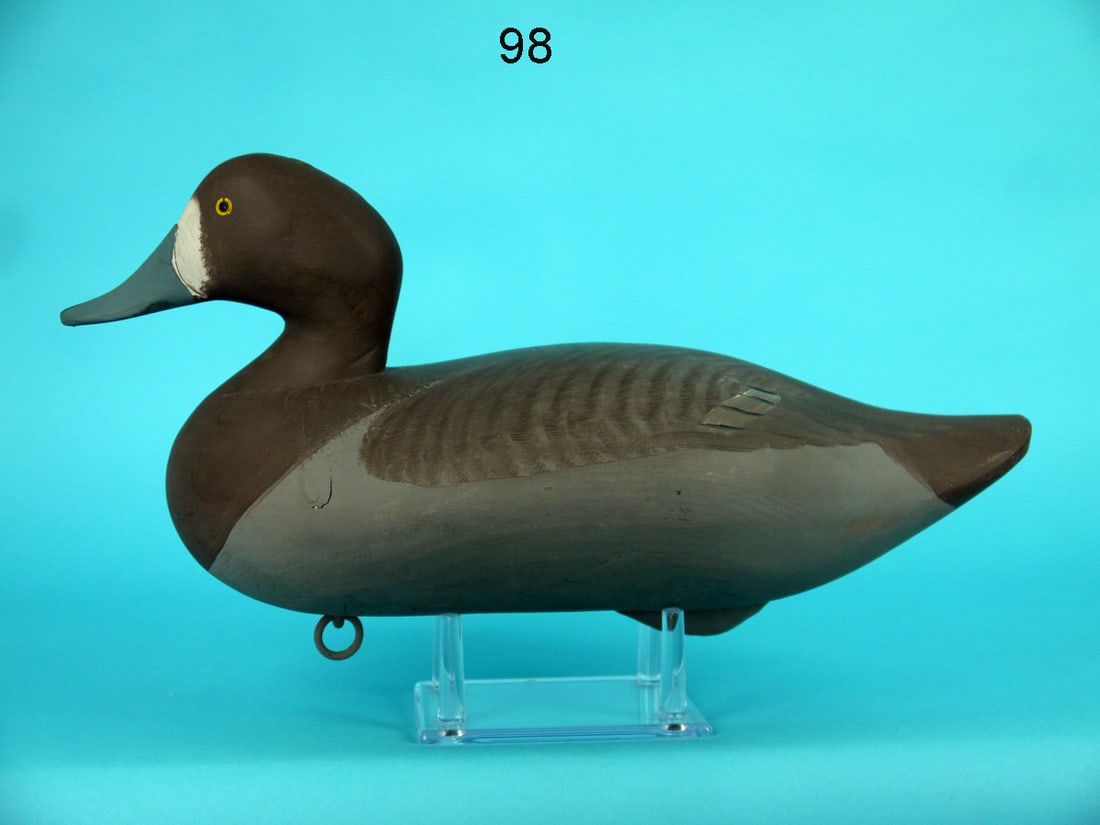 BROADBILL HEN, UPPER BAY (1 of 4)