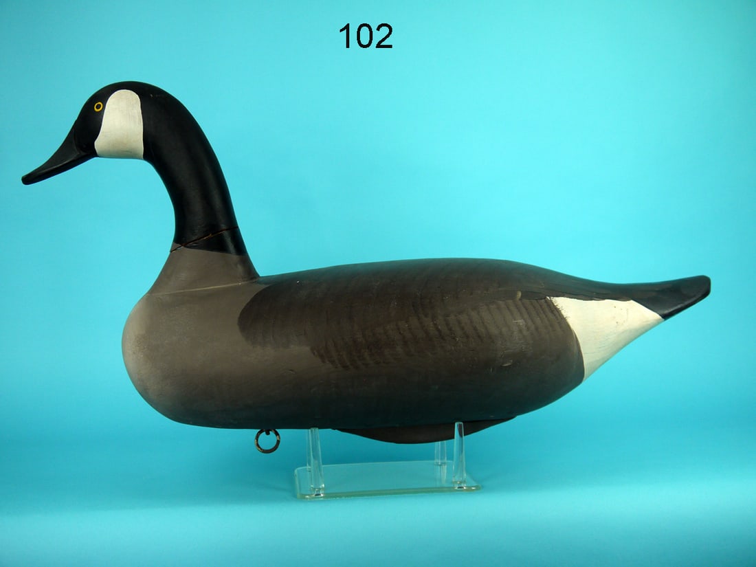 CANADA GOOSE, UPPER BAY (1 of 4)