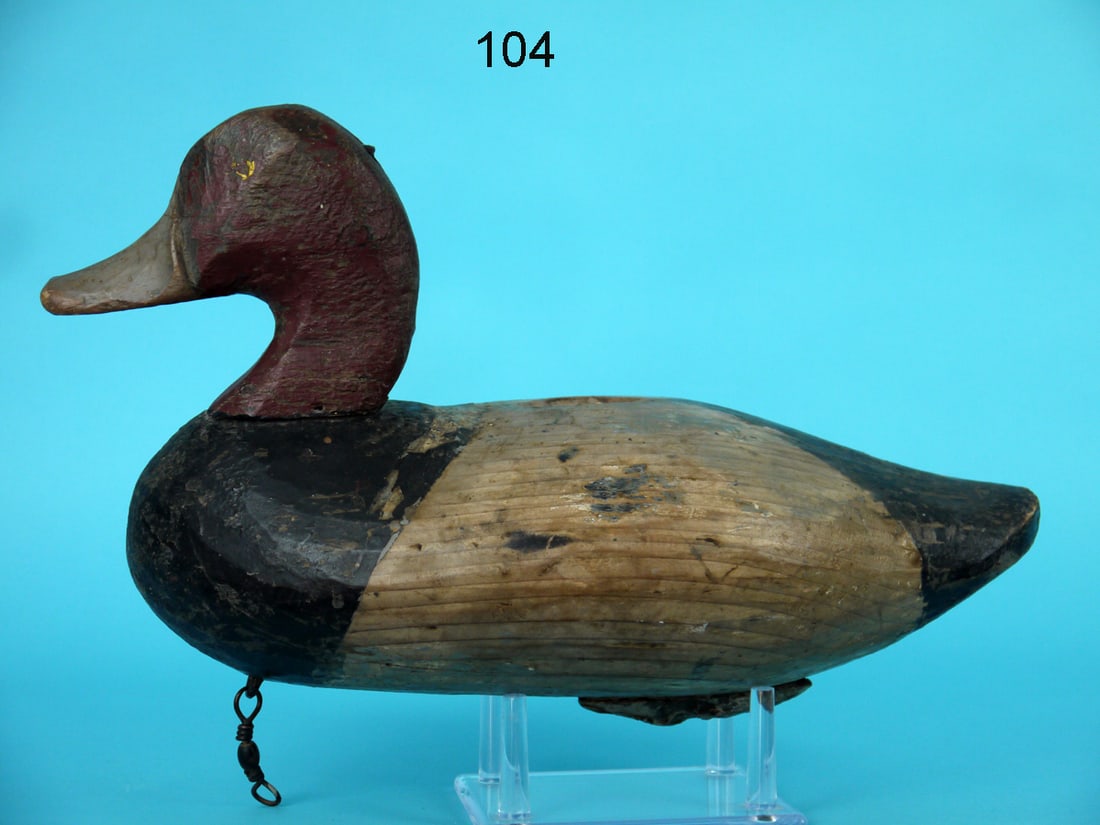 REDHEAD DRAKE, ROCK HALL, MD (1 of 4)