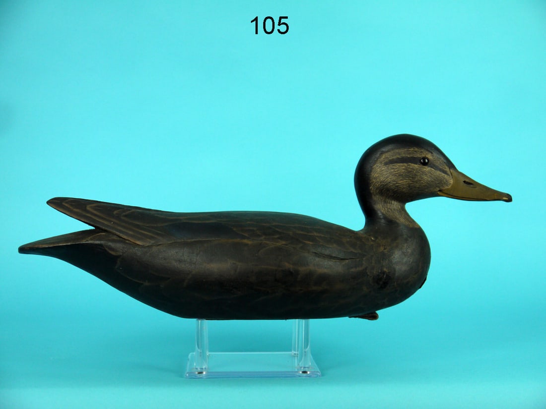 BLACK DUCK, D.B. HAWTHORNE (1 of 4)