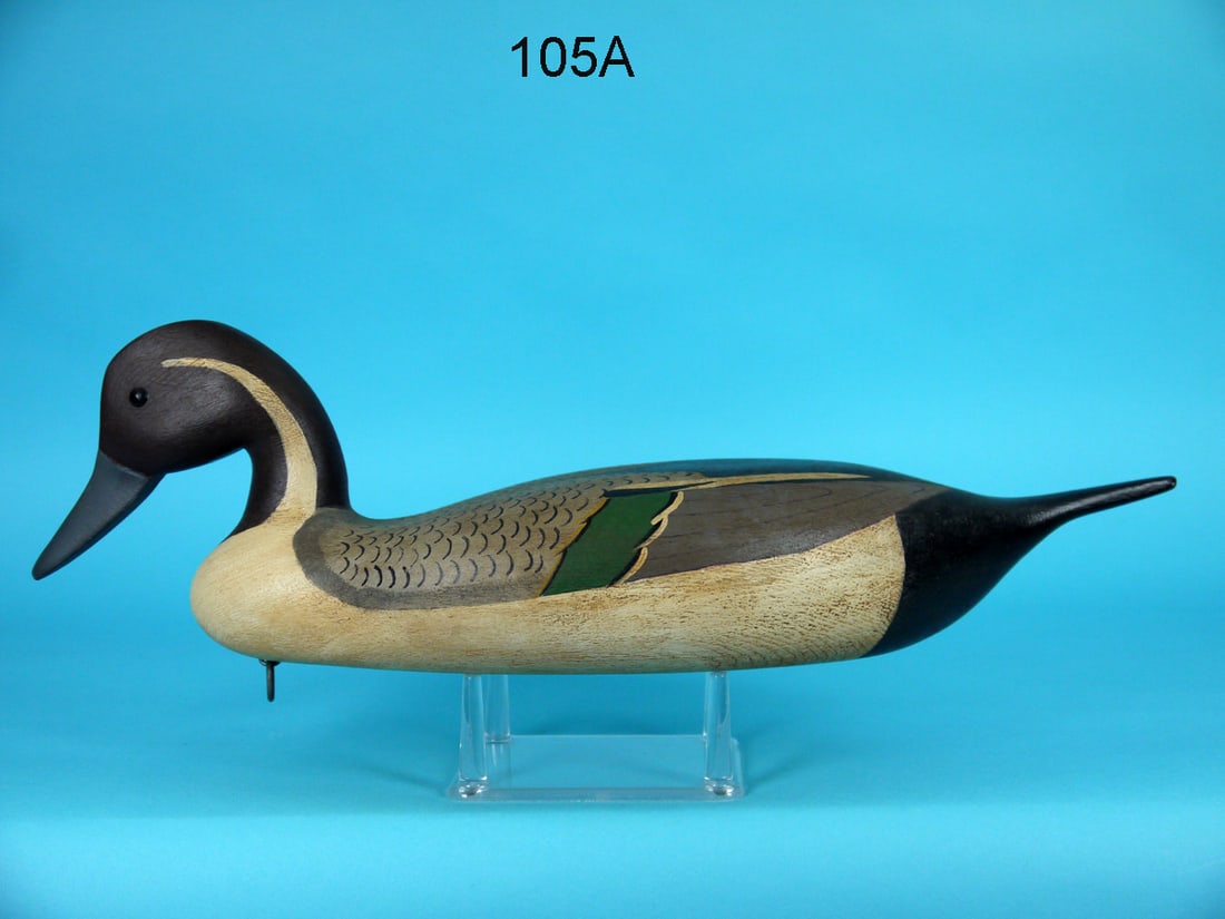 PINTAIL DRAKE, C. SEIDEL (1 of 4)