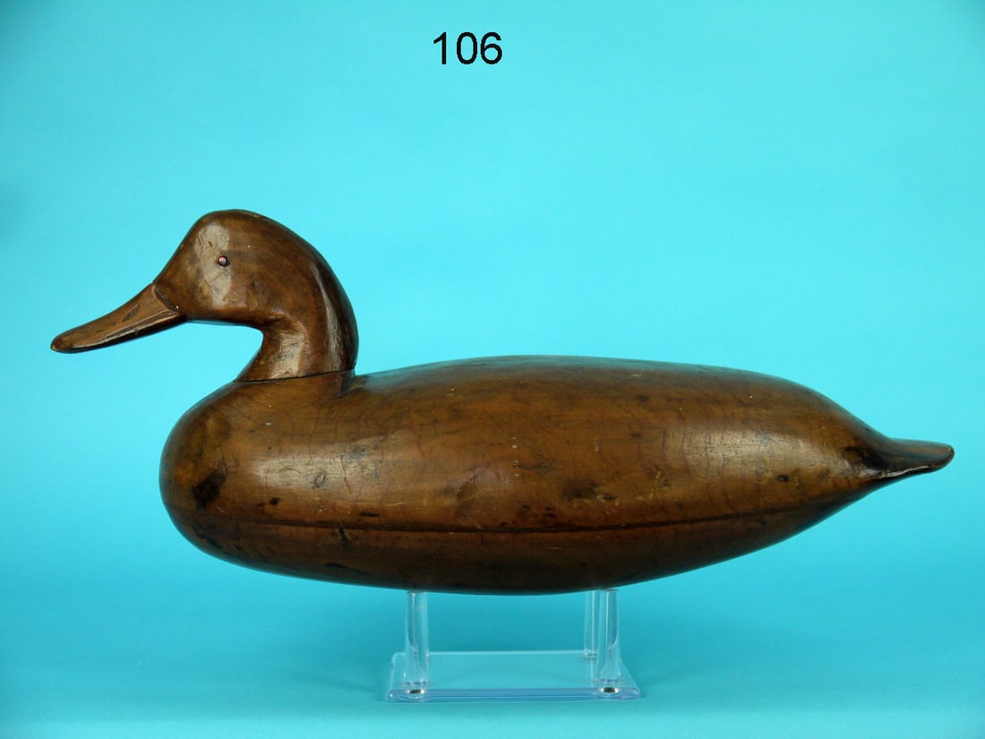 CANVASBACK DRAKE, D. JESTER (1 of 4)