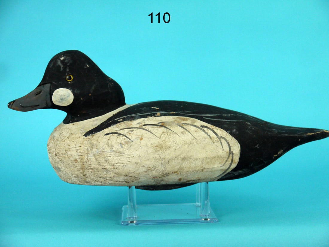 GOLDENEYE DRAKE, J. BOWDEN (1 of 4)