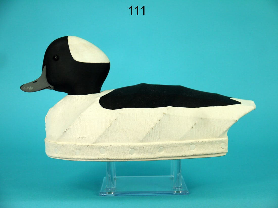 BUFFLEHEAD DRAKE, N. SAPONE (1 of 4)