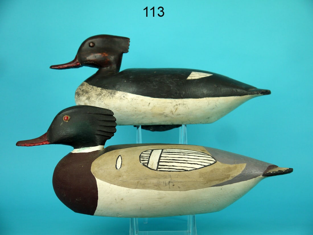 RED-BREASTED MERGANSER PAIR, C. CARPENTER (1 of 4)