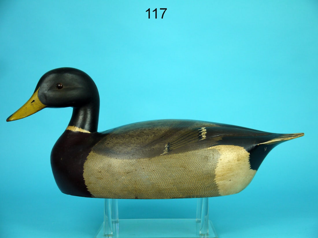 MALLARD DRAKE, K. HARRIS (1 of 4)