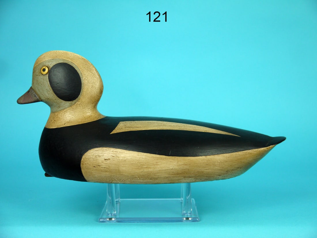 LONG-TAILED  DRAKE, E. PEABODY ATTRIB. (1 of 4)