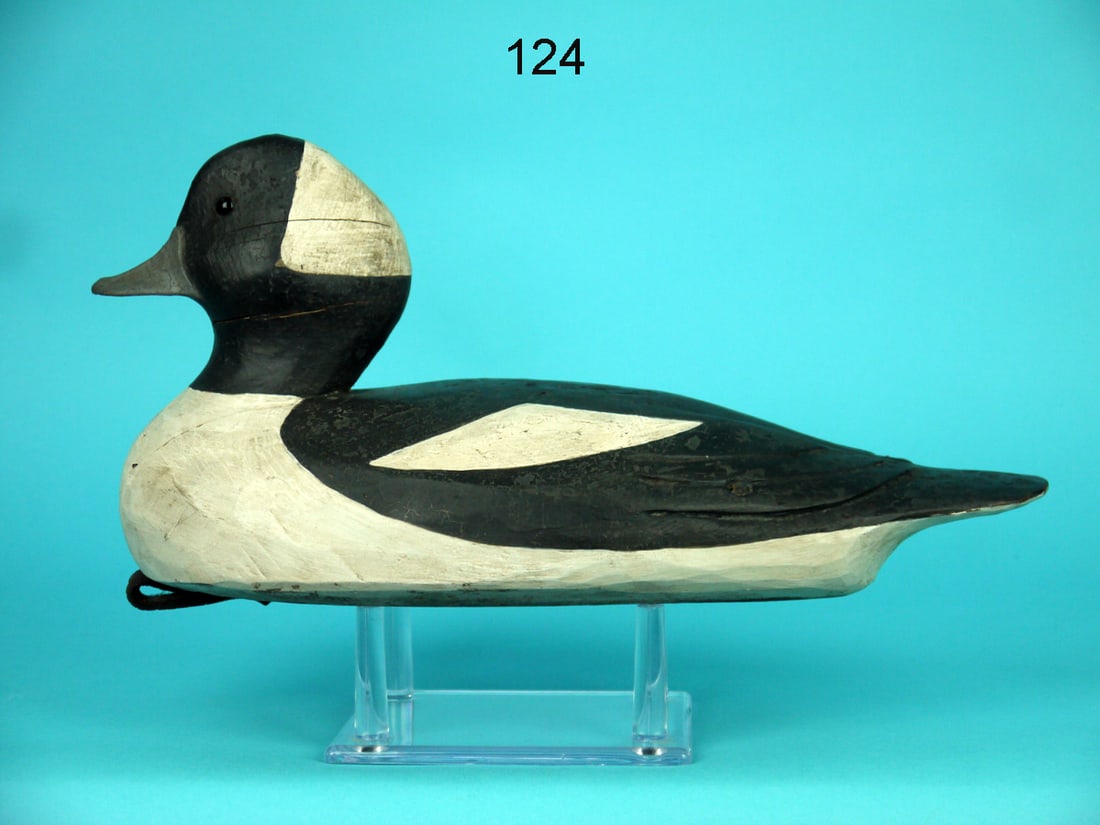 BUFFLEHEAD DRAKE, JOE NEAL (1 of 4)