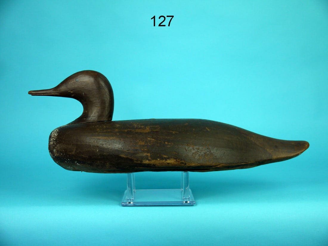 RED-BREASTED MERGANSER HEN, MAINE (1 of 4)