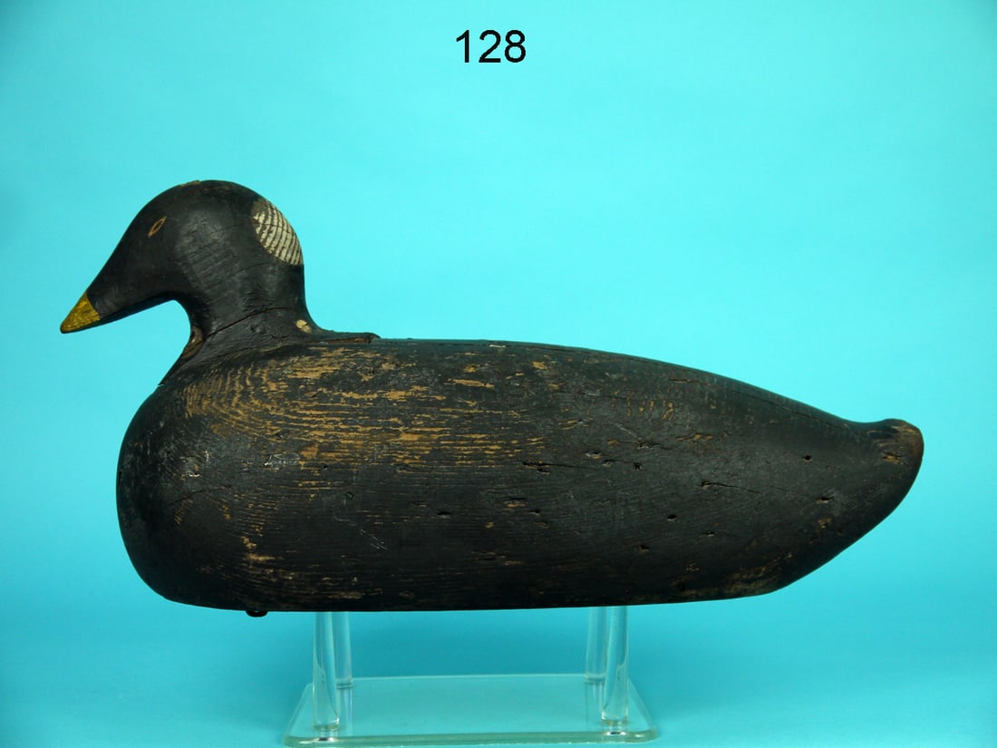 EARLY SCOTER, MAINE (1 of 4)