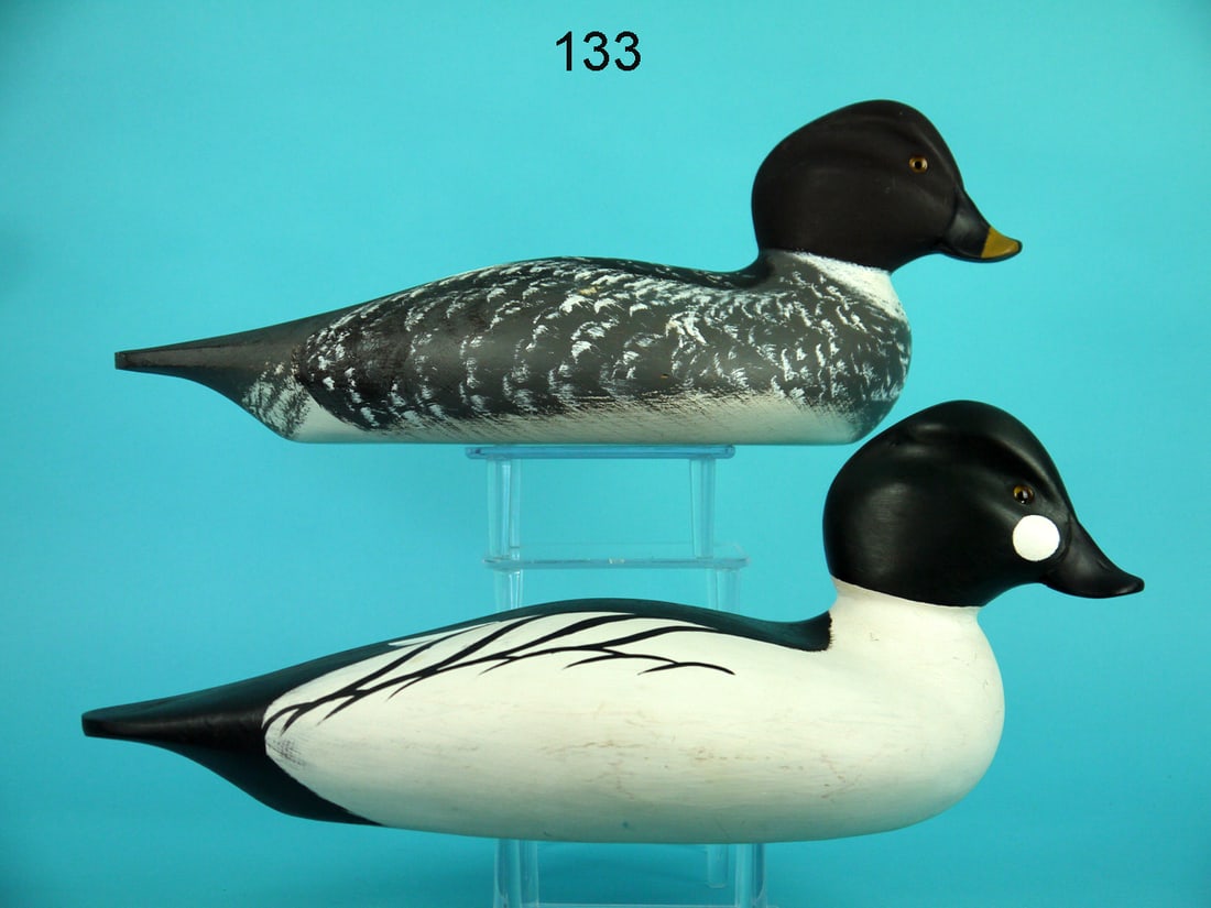 GOLDENEYE PAIR, P. GREGORY (1 of 4)