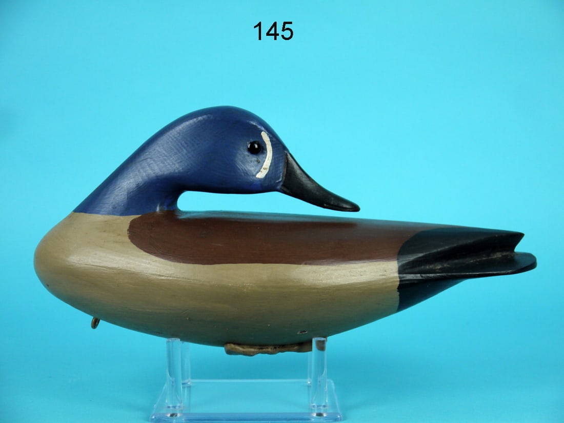 BLUEWING TEAL DRAKE, R. DALEY (1 of 4)