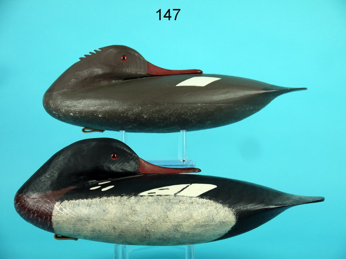 RED-BREASTED MERGANSER PAIR, J. HAMILTON (1 of 4)