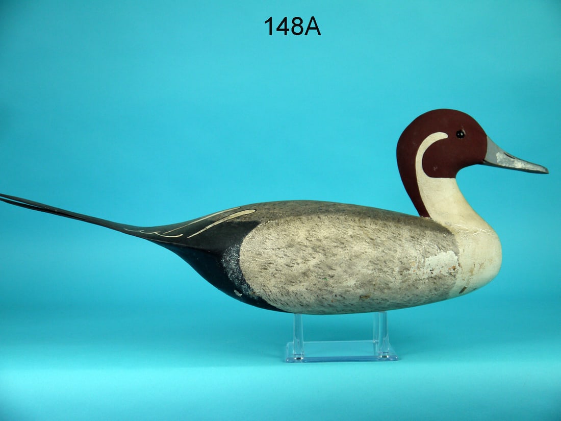 PINTAIL DRAKE, J. HAMILTON (1 of 4)