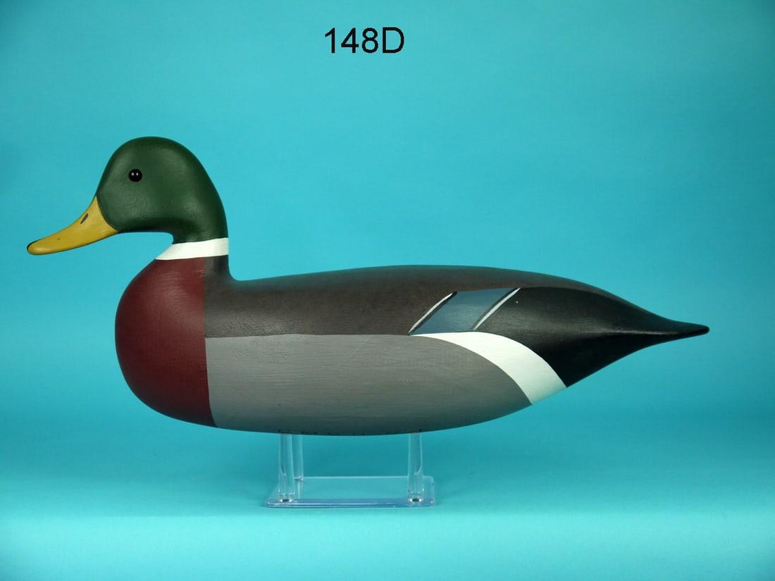 MALLARD DRAKE, J. HAND (1 of 4)