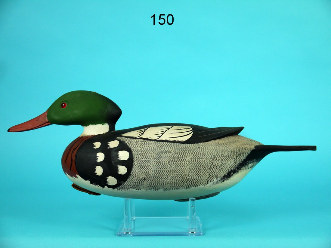 REB-BREASTED MERGANSER DRAKE, J. HOLLOWAY (1 of 4)