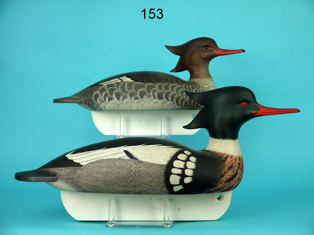 RED-BREASTED MERGANSER PAIR, C.R. MARTER, JR. (1 of 4)