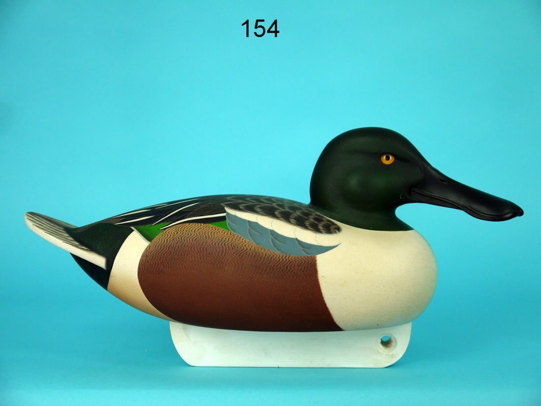 SHOVELER DRAKE, C.R. MARTER, JR. (1 of 4)