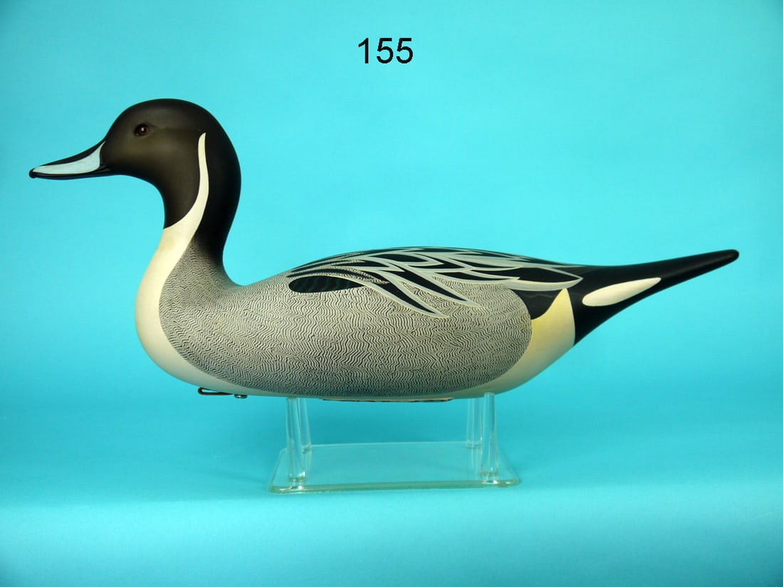 PINTAIL DRAKE, C.R. MARTER, JR. (1 of 4)
