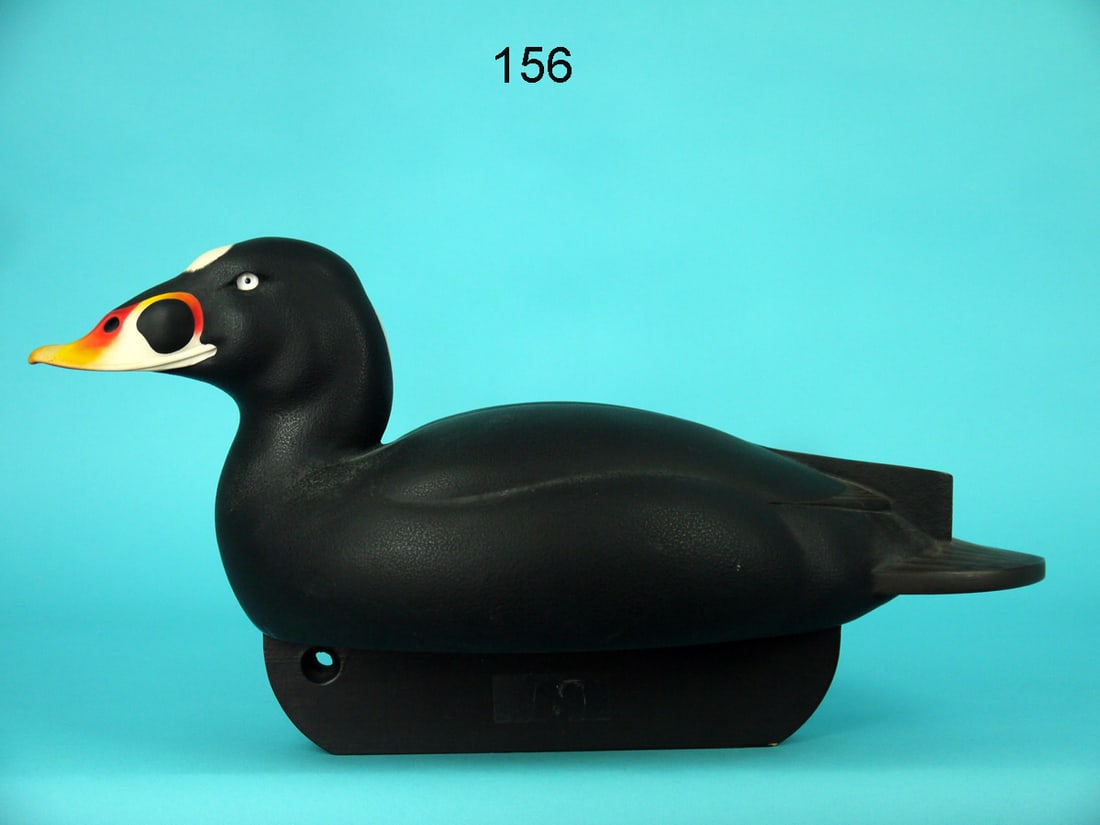 SURF SCOTER, C.R. MARTER, JR. (1 of 4)