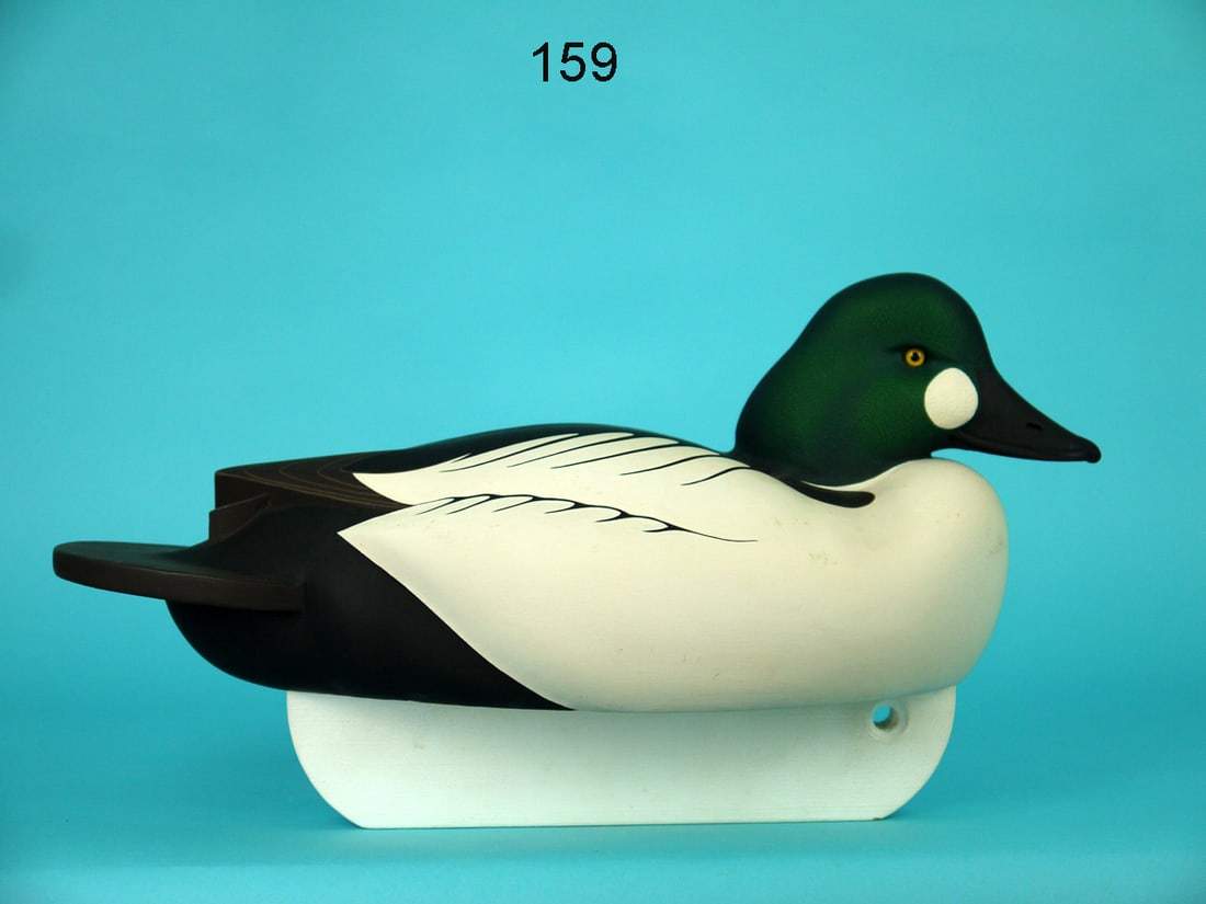 GOLDENEYE DRAKE, C.R. MARTER, JR. (1 of 4)