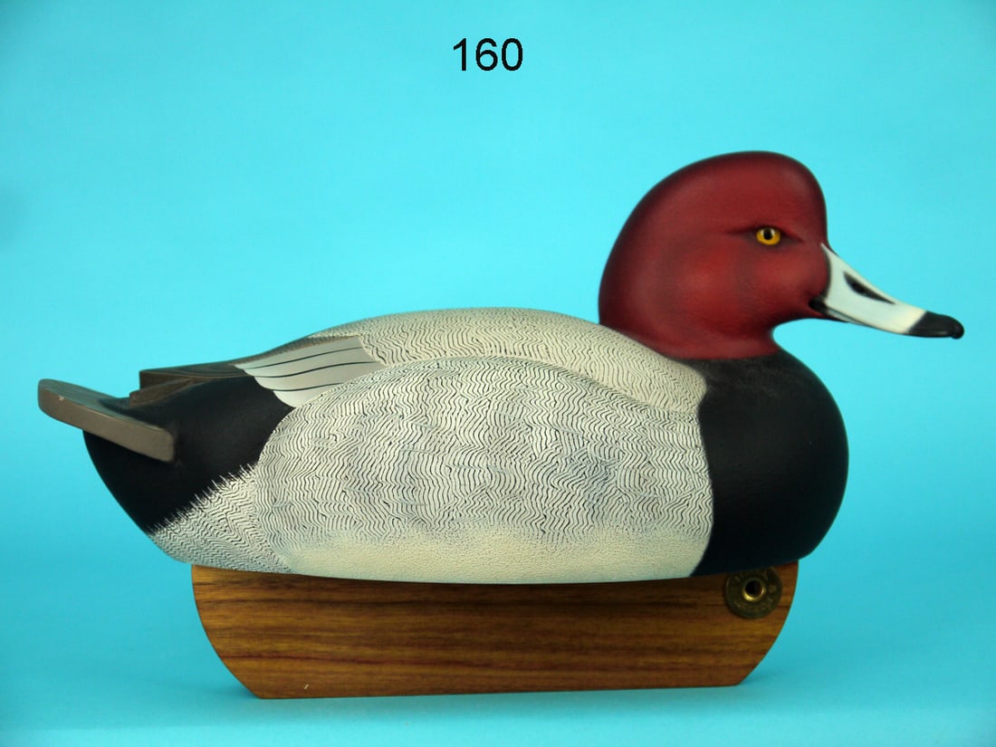 REDHEAD DRAKE, C.R. MARTER, JR. (1 of 4)