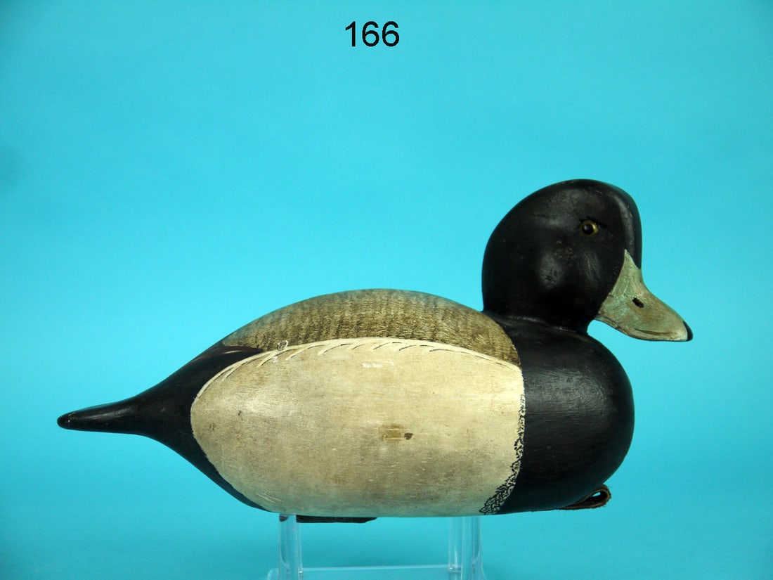 BROADBILL DRAKE, R. BLACK (1 of 4)