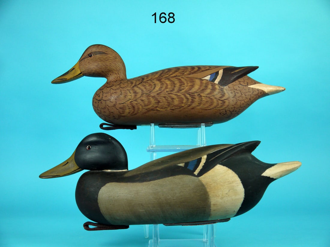 CANVASBACK PAIR, E. CORRADETTI (1 of 4)