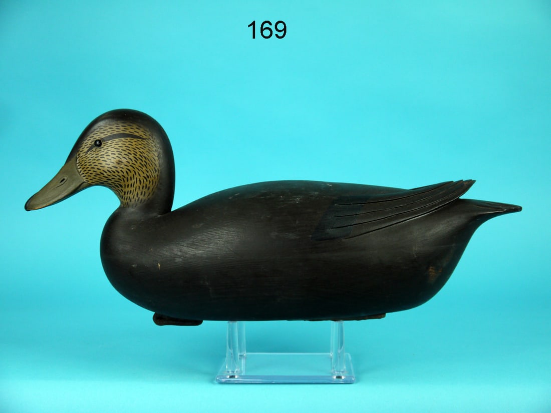 BLACK DUCK, J. EGELI (1 of 4)