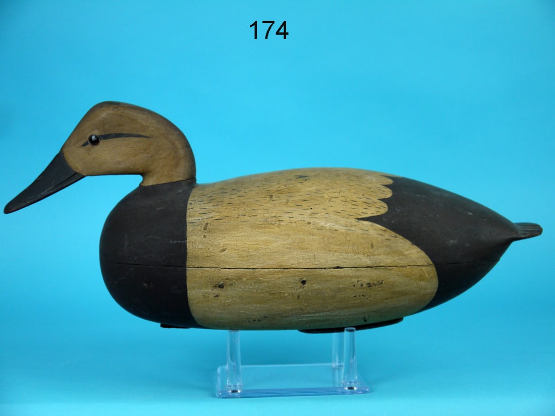 CANVASBACK HEN, J. HEISLER (1 of 4)