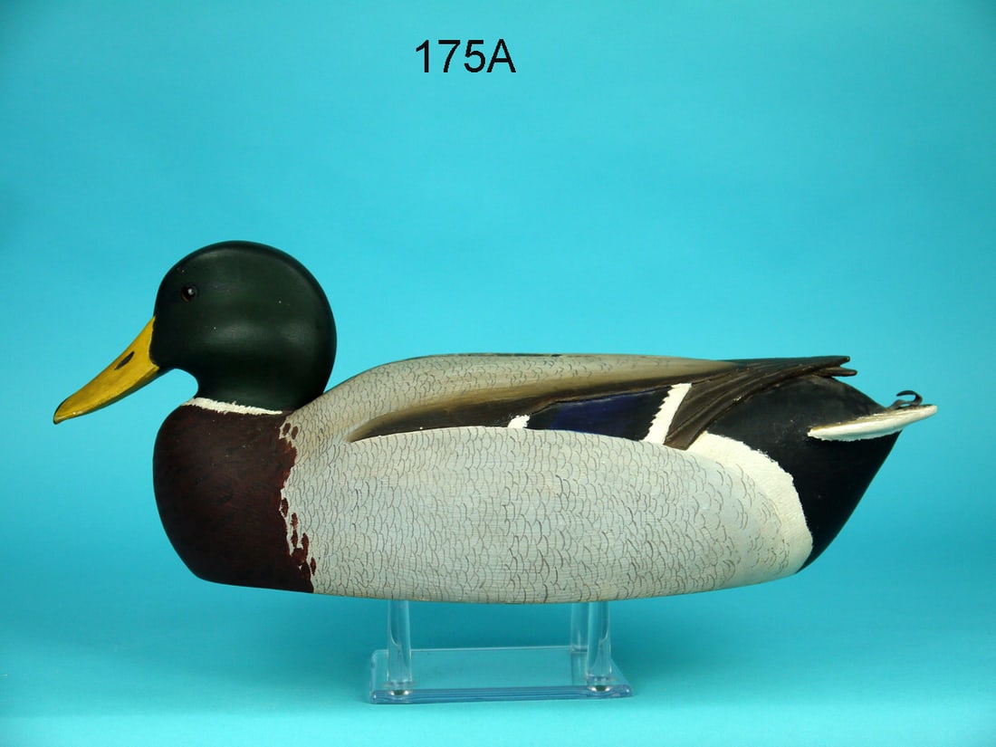 MALLARD DRAKE, R. LIBENSPERGER (1 of 4)