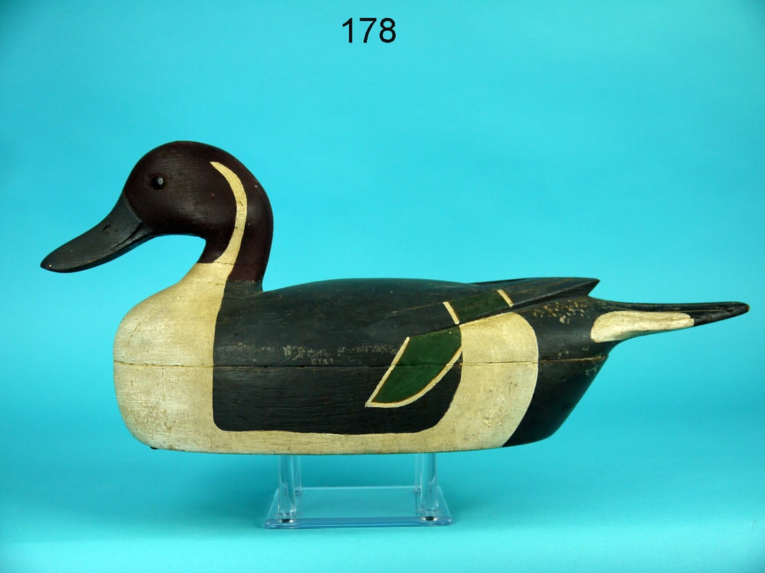 PINTAIL DRAKE, J. MARINKOS (1 of 4)