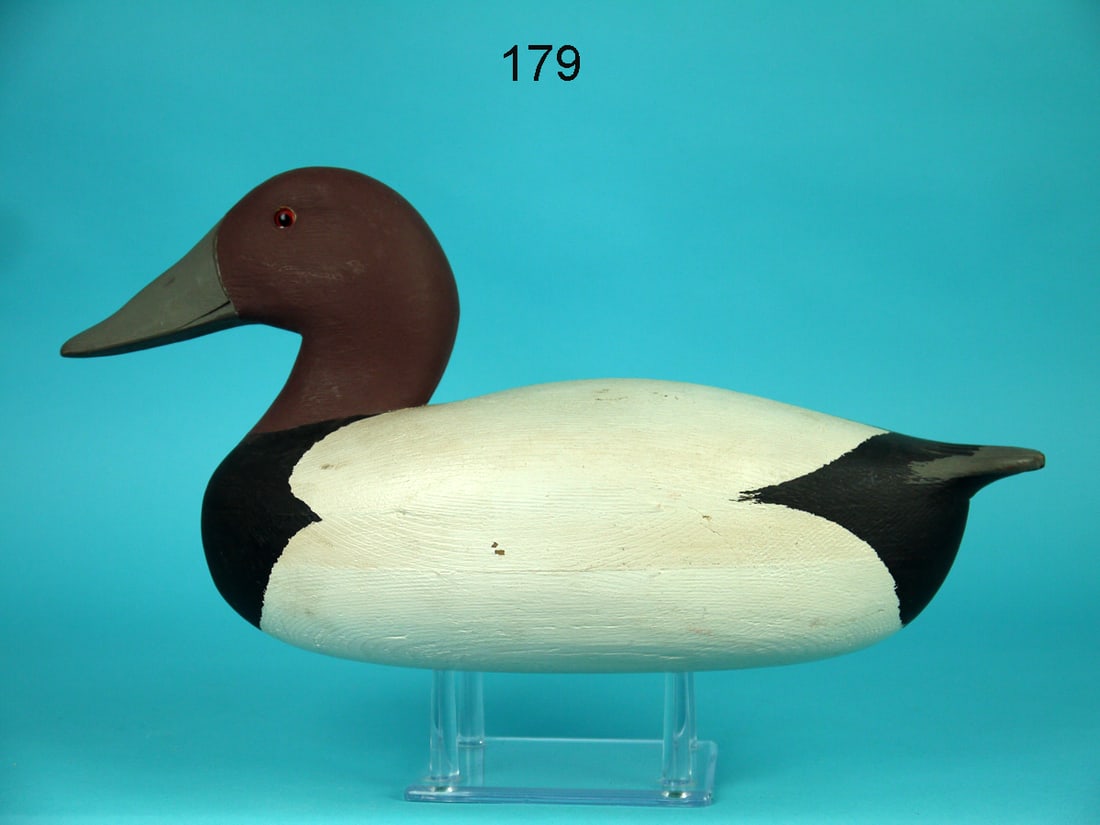 CANVASBACK DRAKE, J. MARINKOS (1 of 4)