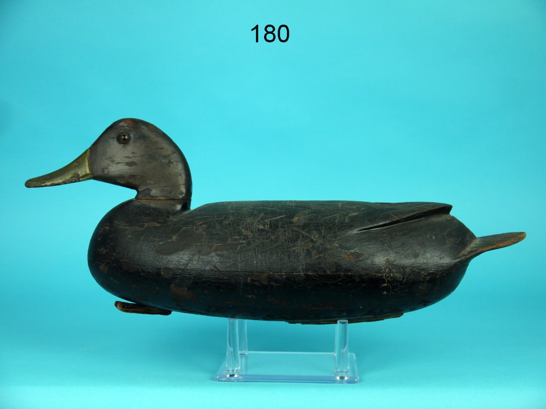 BLACK DUCK, C.TRADER (1 of 4)