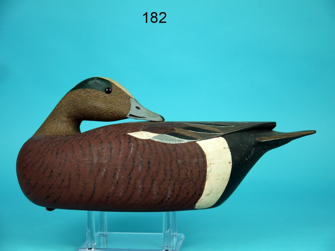 WIGEON DRAKE, L. BORKOWSKI (1 of 4)