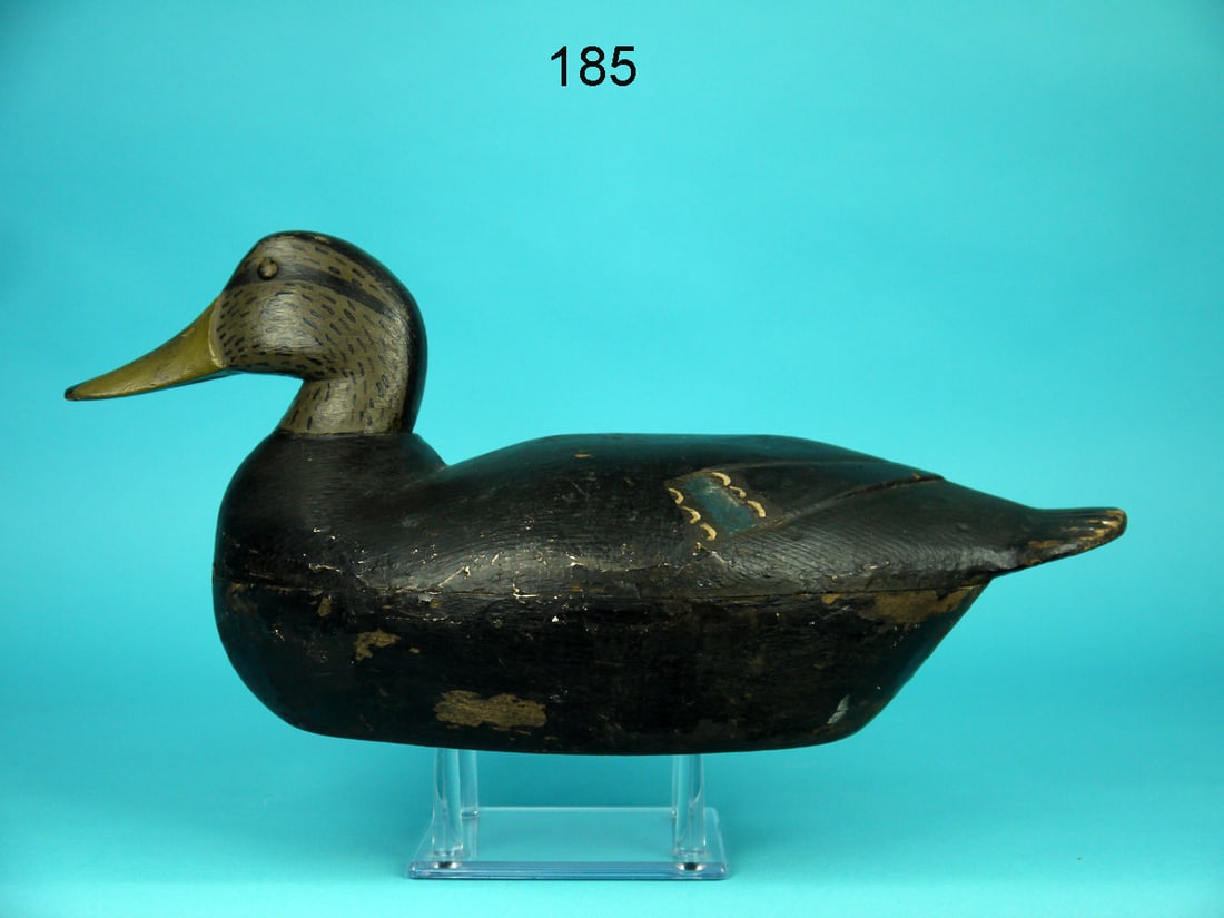 BLACK DUCK, H. FENNIMORE (1 of 4)