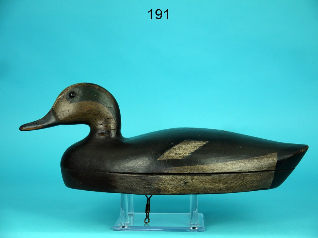 WIGEON DRAKE, PHILADELPHIA SCHOOL (1 of 4)