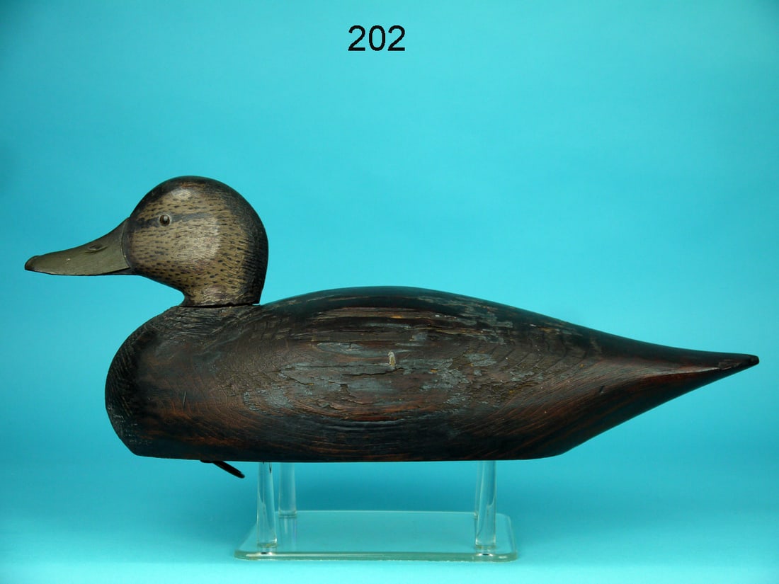 BLACK DUCK, A.E. CROWELL (1 of 4)