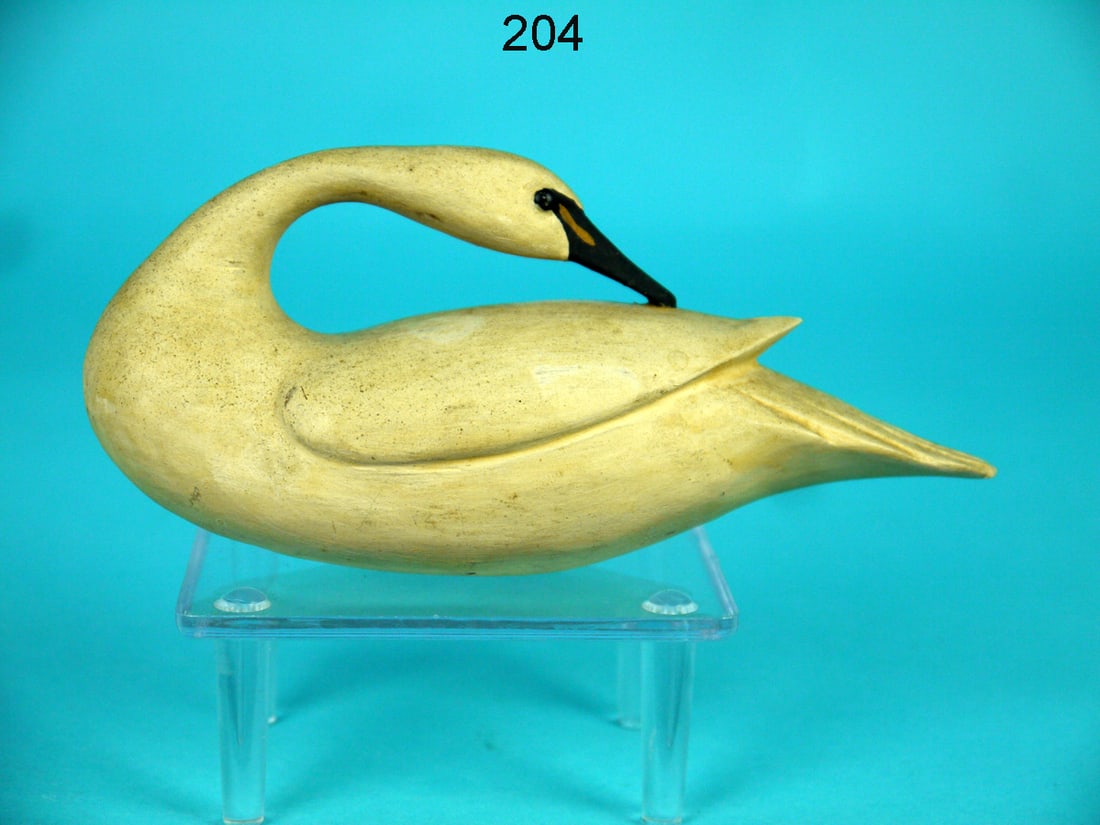 MINIATURE SWAN, B. WHITE (1 of 4)