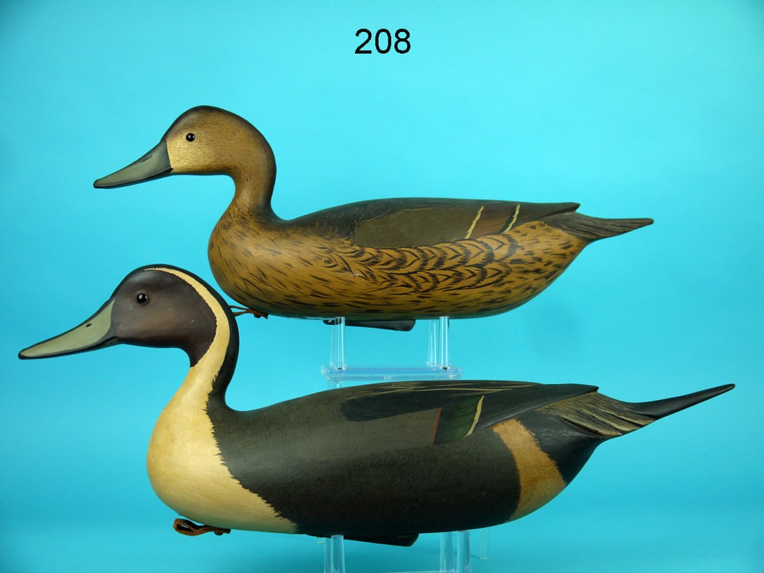 PINTAIL PAIR, B. WHITE (1 of 4)