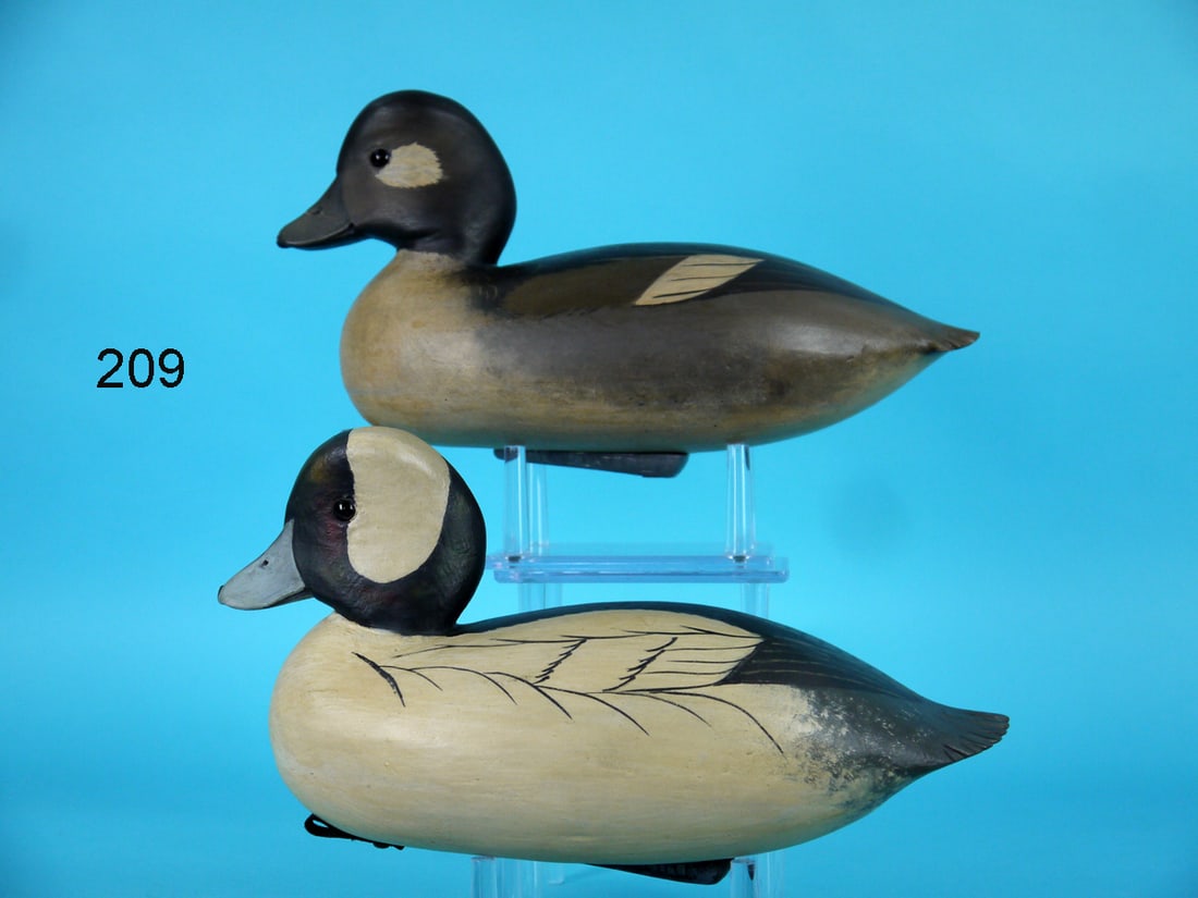 BUFFLEHEAD PAIR, B. WHITE (1 of 4)