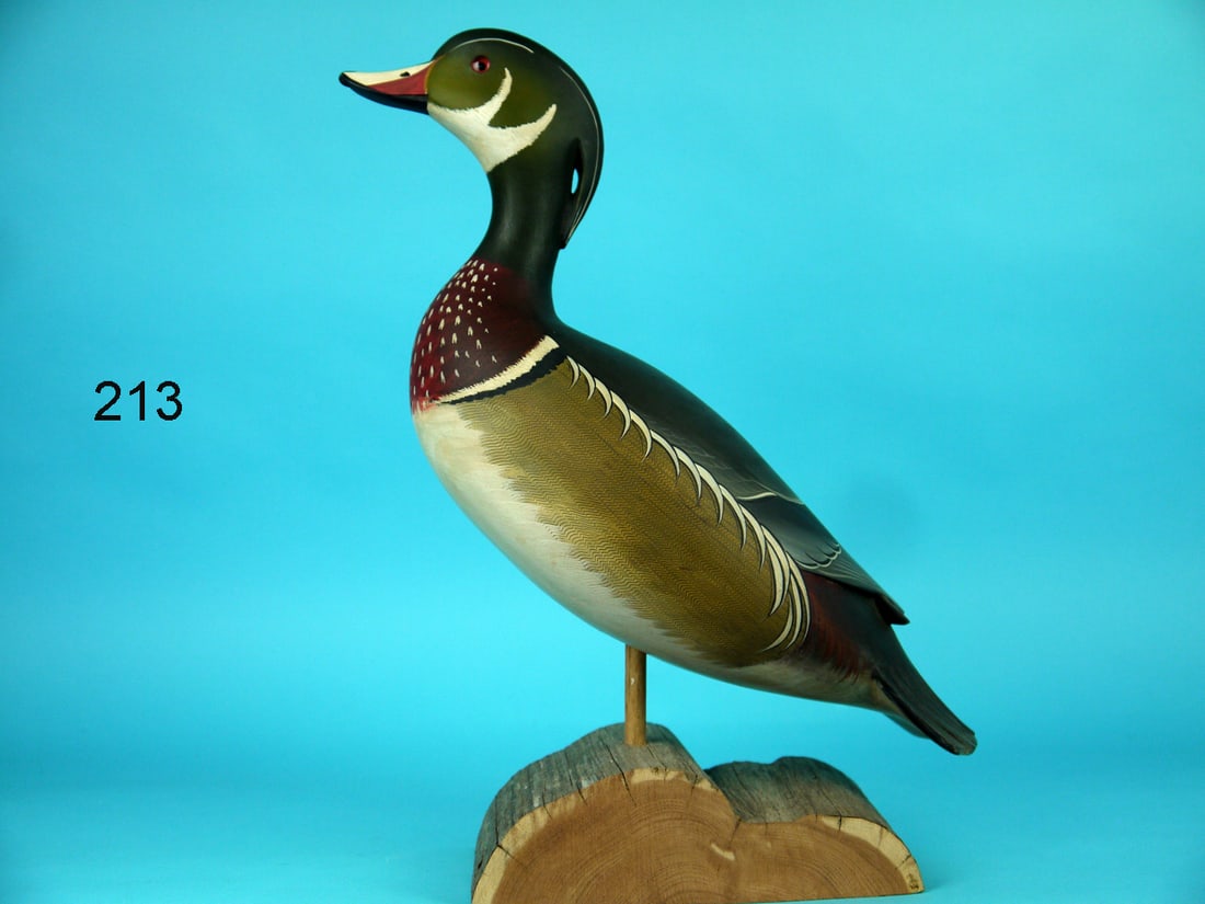 STANDING WOOD DUCK DRAKE, G. STRUNK (1 of 4)