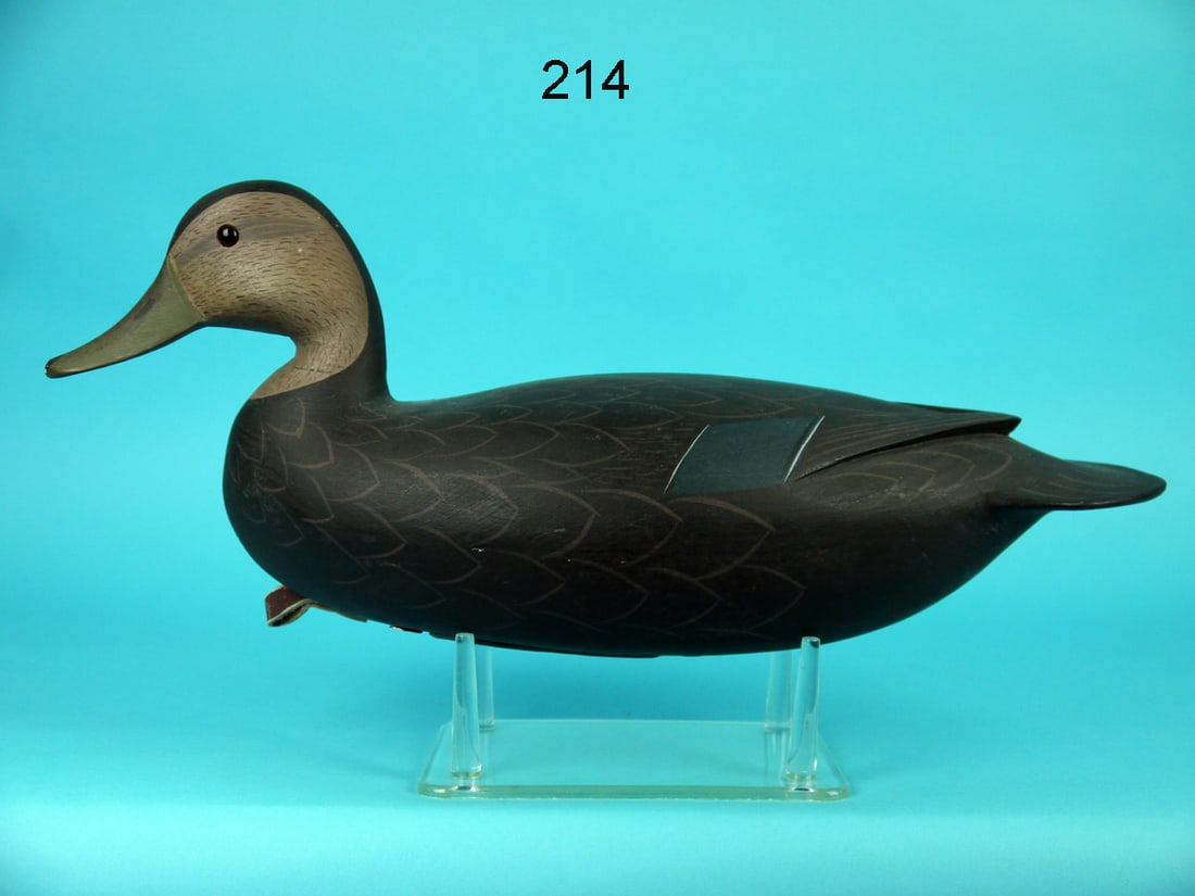 BLACK DUCK, G. STRUNK (1 of 4)