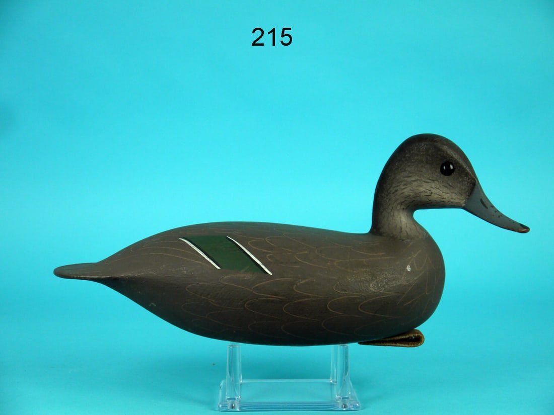 GREEN WING TEAL HEN, G. STRUNK (1 of 4)