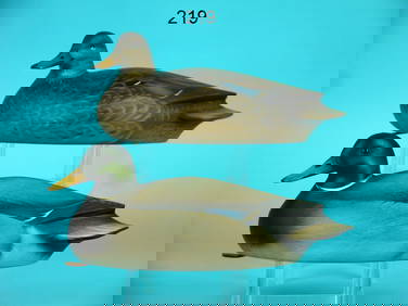 ONE-THIRD SIZE MALLARDS, S. SUTTON (1 of 4)