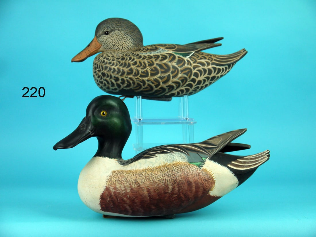 SHOVELER PAIR, J. WOOD (1 of 4)