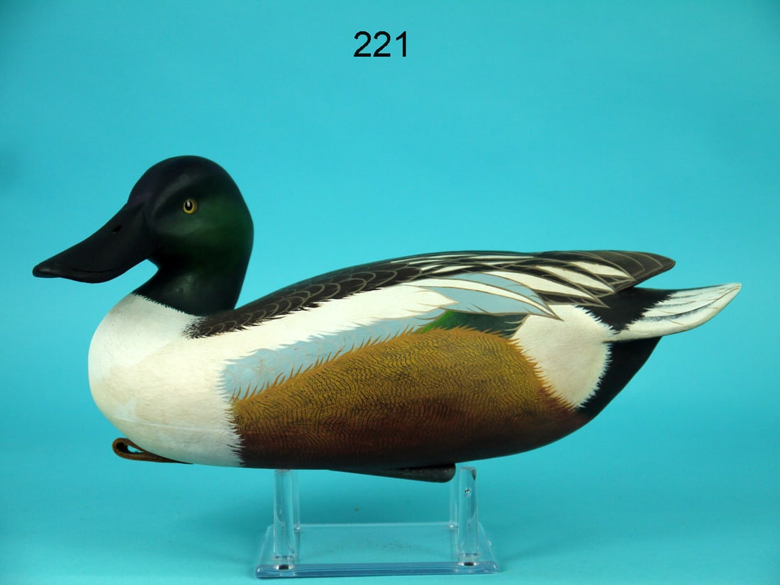 SHOVELLER DRAKE, J. WOOD (1 of 4)