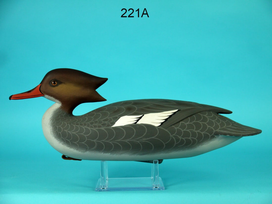 RED-BREASTED MERGANSER HEN, J. WOOD (1 of 4)